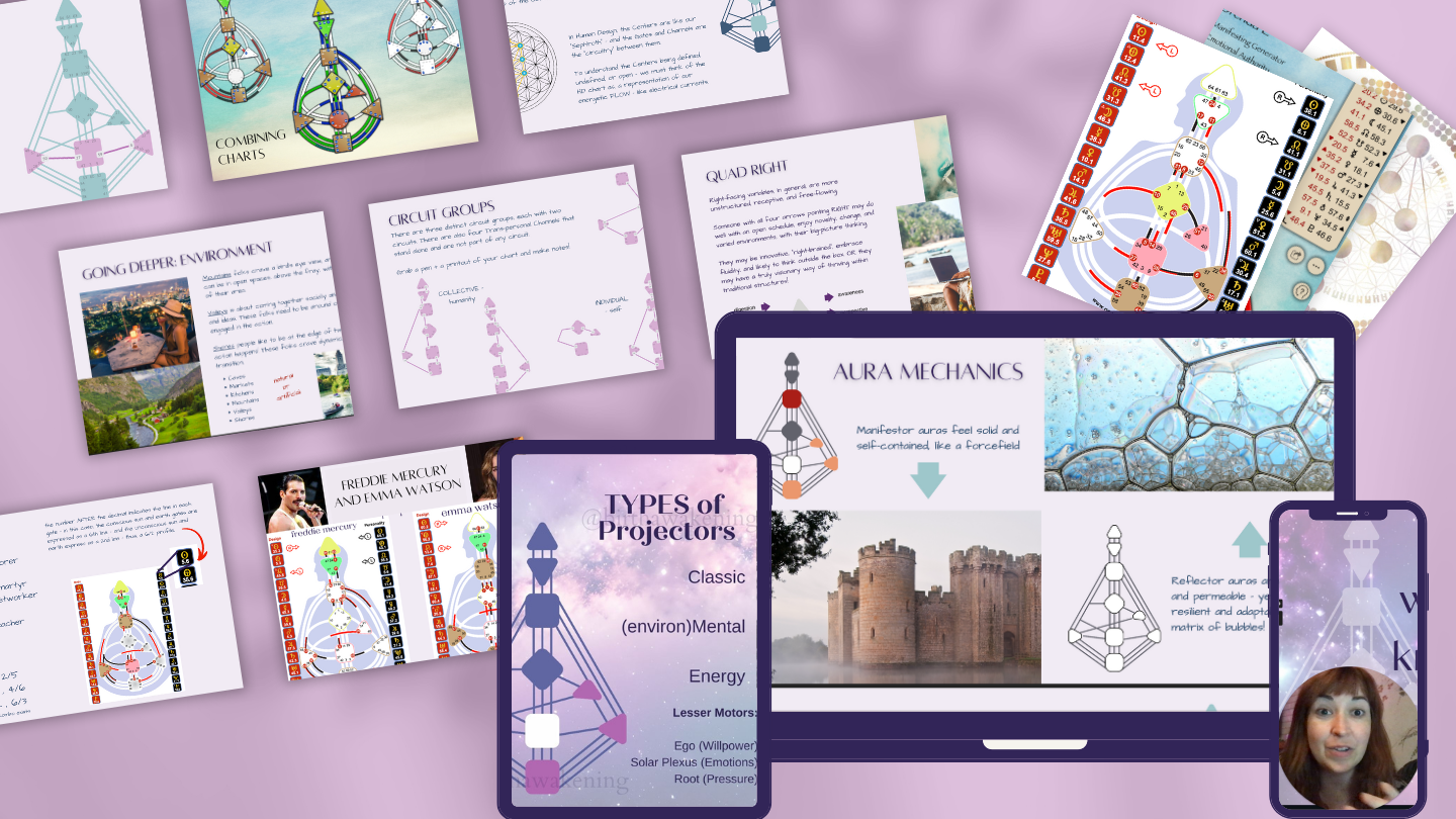 human design reader training